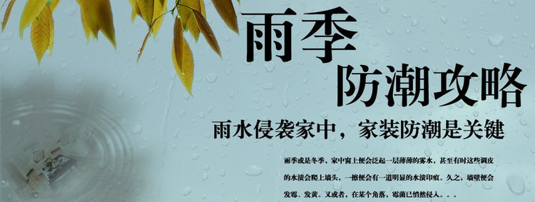 衣帽間除濕機