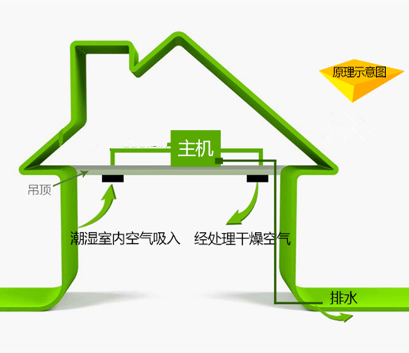 吊頂除濕機