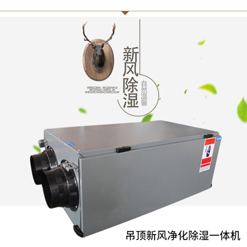 吊裝式中央除濕機