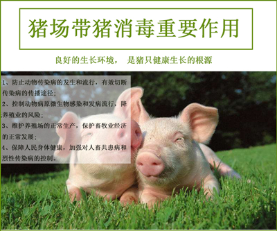防疫消毒噴霧器