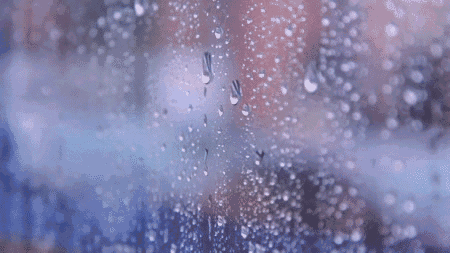 預防潮濕用除濕機