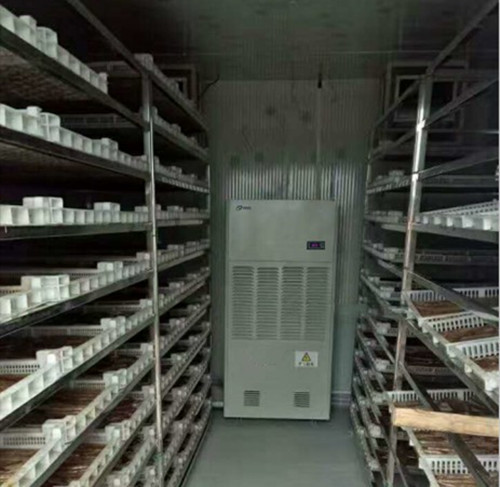 黑木耳烘干機