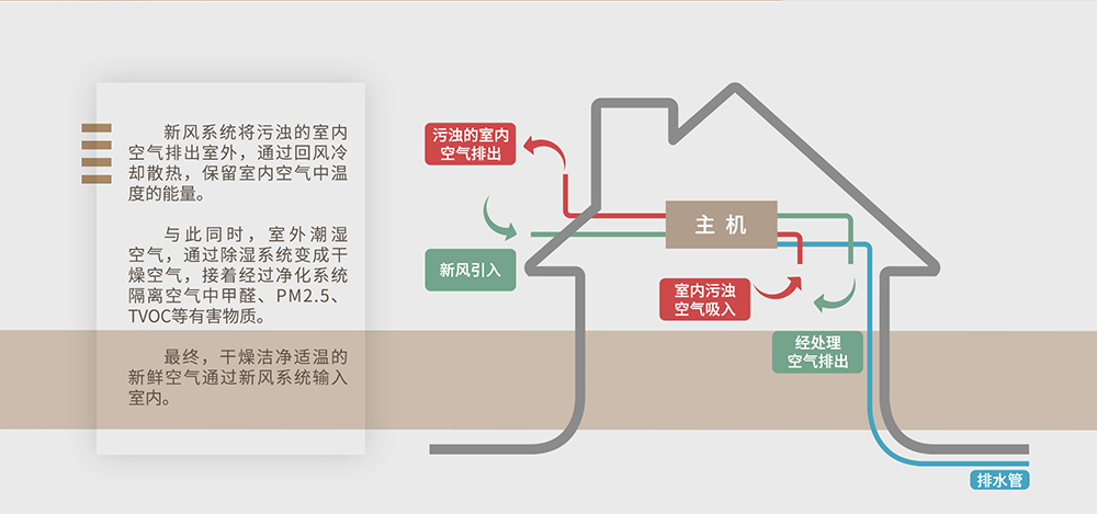 地下室新風除濕機