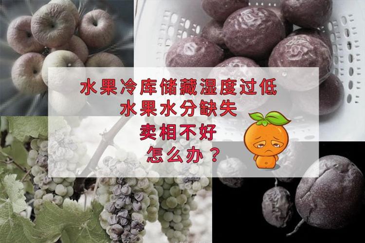 果蔬氣調庫增濕器