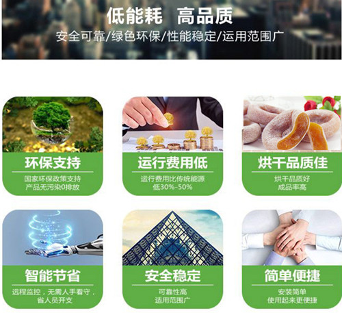 蜜棗烘干除濕機(jī)