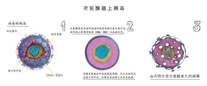 次氯酸智能消毒機(jī)
