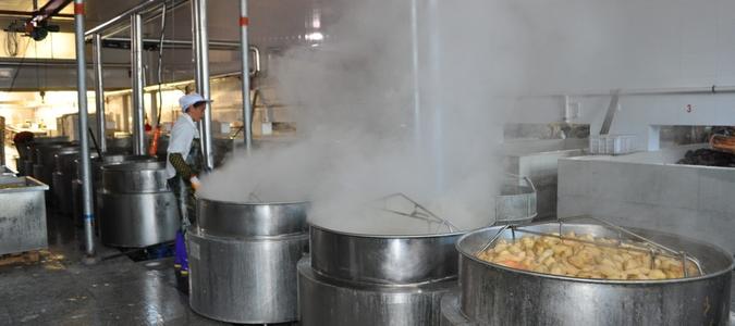 蒸汽去除機
