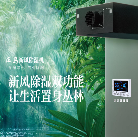 地下室新風(fēng)除濕一體機(jī)