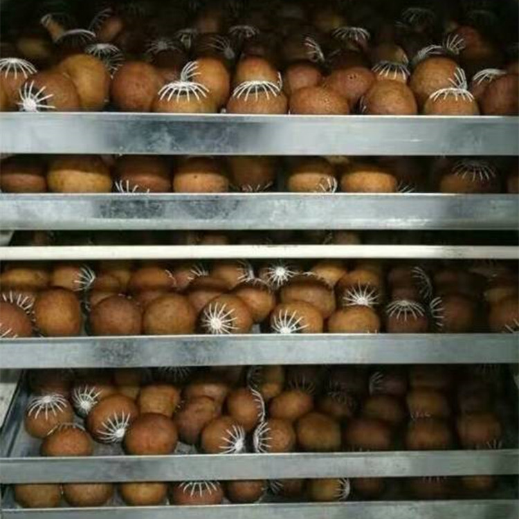 小青柑熱風烘干除濕機.jpg