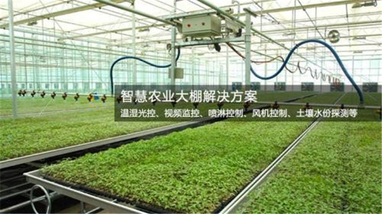 種植大棚除濕機(jī)