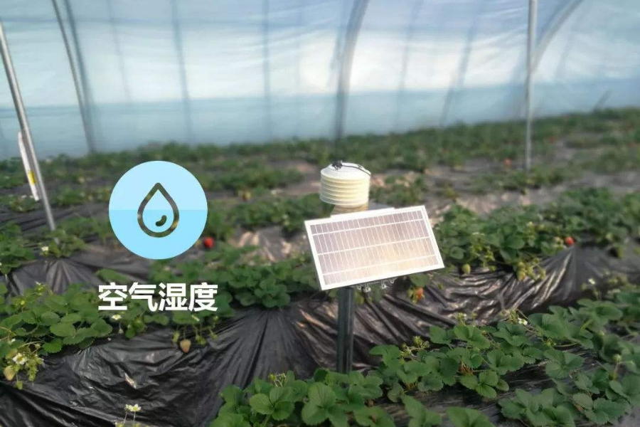種植大棚除濕機(jī)