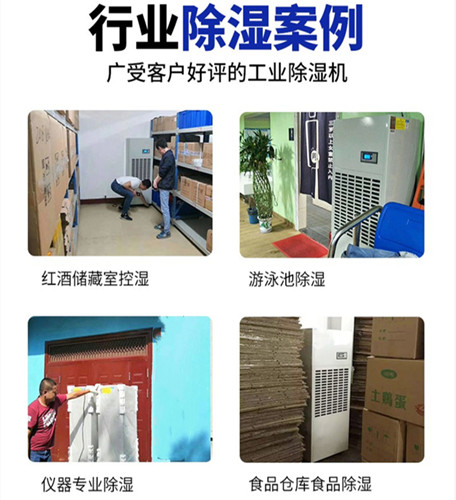 工業(yè)抽濕機(jī)