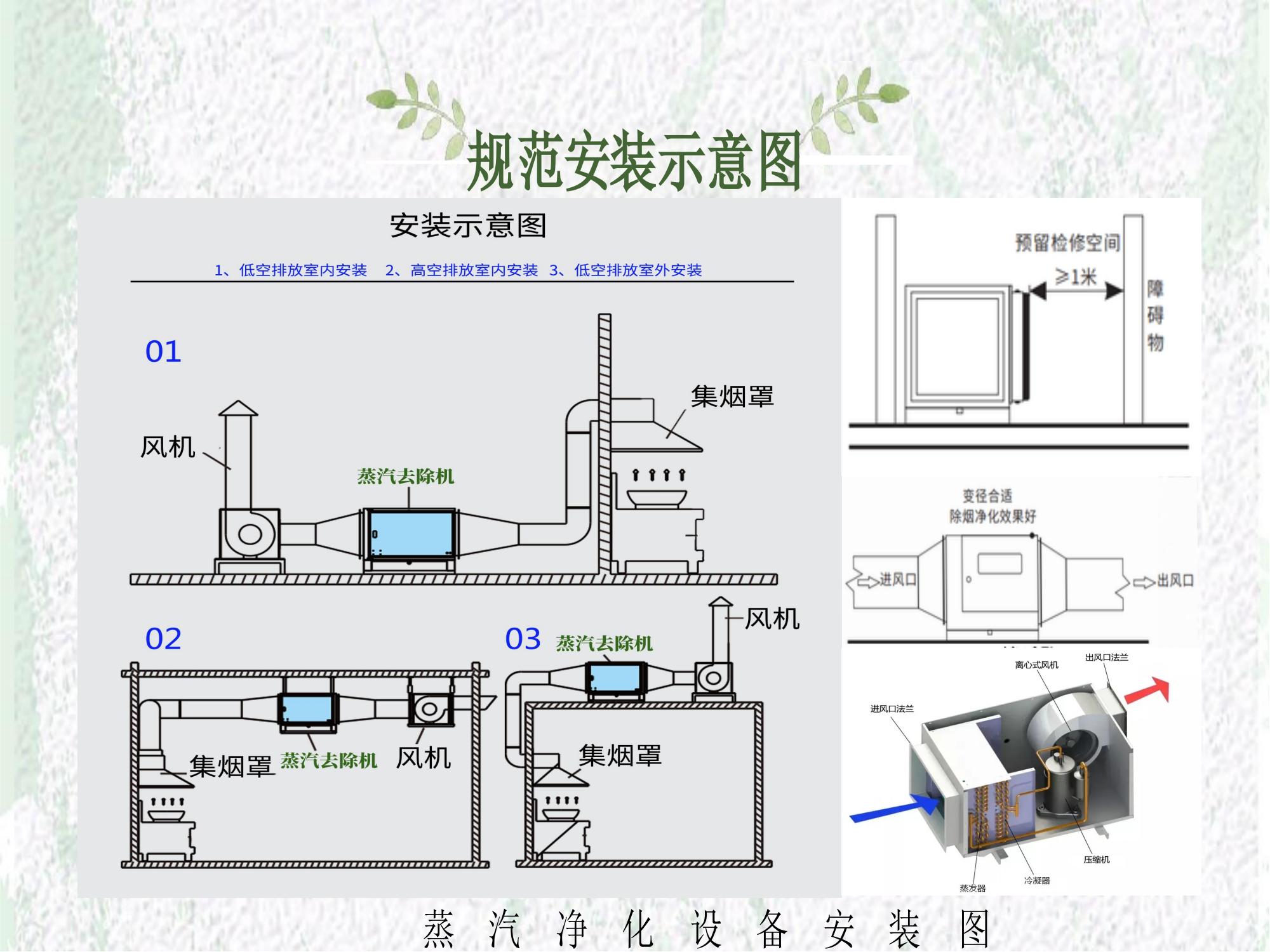蒸汽去除機