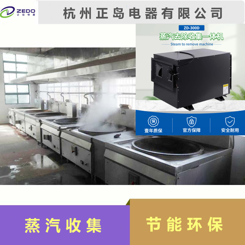 蒸汽收集去除機