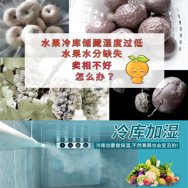 枇杷冷庫保鮮加濕器